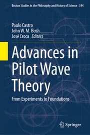 Cover von Advances in Pilot Wave Theory