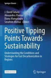 Cover von Positive Tipping Points Towards Sustainability