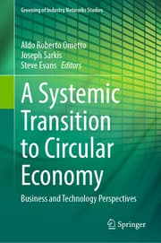 Cover von A Systemic Transition to Circular Economy