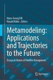 Cover von Metamodeling: Applications and Trajectories to the Future