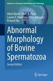 Cover von Abnormal Morphology of Bovine Spermatozoa