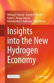 Cover von Insights into the New Hydrogen Economy