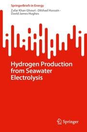 Cover von Hydrogen Production from Seawater Electrolysis