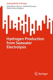 Cover von Hydrogen Production from Seawater Electrolysis