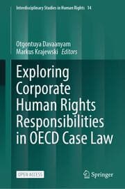 Cover von Exploring Corporate Human Rights Responsibilities in OECD Case Law