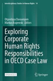Cover von Exploring Corporate Human Rights Responsibilities in OECD Case Law