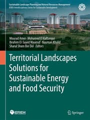 Cover von Territorial Landscapes Solutions for Sustainable Energy and Food Security