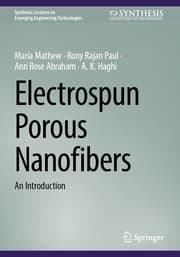 Cover von Electrospun Porous Nanofibers