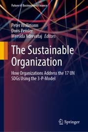 Cover von The Sustainable Organization