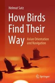 Cover von How Birds Find Their Way