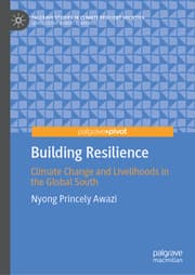 Cover von Building Resilience