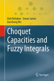 Cover von Choquet Capacities and Fuzzy Integrals