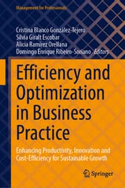 Cover von Efficiency and Optimization in Business Practice