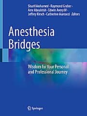 Cover von Anesthesia Bridges