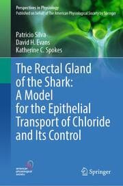 Cover von The Rectal Gland of the Shark: A Model for the Epithelial Transport of Chloride and Its Control
