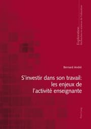 Cover von Sinvestir dans son travail : les enjeux de lactivité enseignante