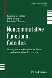 Cover von Noncommutative Functional Calculus
