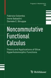 Cover von Noncommutative Functional Calculus