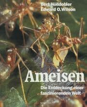 Cover von Ameisen