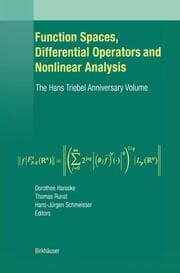 Cover von Function Spaces, Differential Operators and Nonlinear Analysis