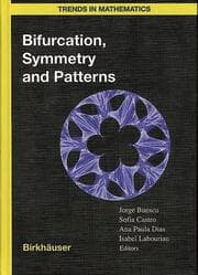 Cover von Bifurcation, Symmetry and Patterns