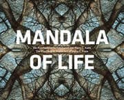 Cover von Mandala of Life