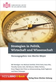 Cover von Strategien in Politik, Wirtschaft und Wissenschaft