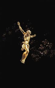 Cover von Hoffnung für alle. Die Bibel - 'Golden Jesus Edition'