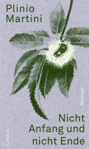Cover von Nicht Anfang und nicht Ende