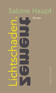Cover von Lichtschaden.Zement