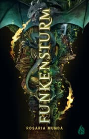 Cover von Funkensturm
