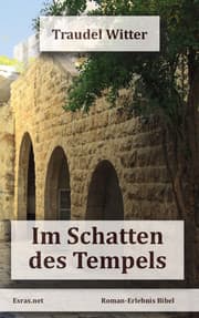 Cover von Im Schatten des Tempels