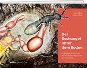 Cover von Der Dschungel unter dem Boden