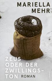 Cover von Zeus oder der Zwillingston