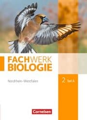 Cover von Fachwerk Biologie - Nordrhein-Westfalen 2013 - Band 2 - Teil A