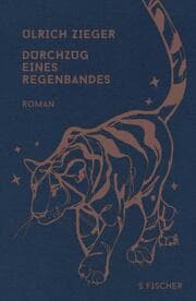 Cover von Durchzug eines Regenbandes