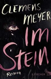 Cover von Im Stein