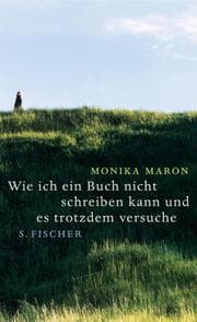 Cover von Wie ich ein Buch nicht schreiben kann und es trotzdem versuche