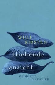 Cover von fliehende ansicht