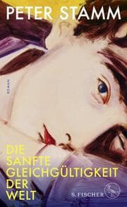 Cover von Die sanfte Gleichgültigkeit der Welt