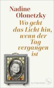 Cover von Wo geht das Licht hin, wenn der Tag vergangen ist