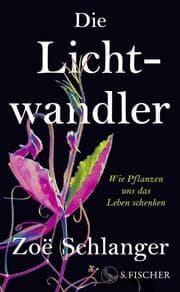 Cover von Die Lichtwandler