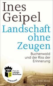 Cover von Landschaft ohne Zeugen