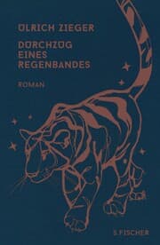 Cover von Durchzug eines Regenbandes