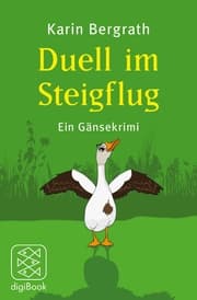 Cover von Duell im Steigflug
