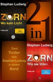 Cover von Wo kein Licht / Wie sie töten - Zwei Zorn-Thriller in einem Band