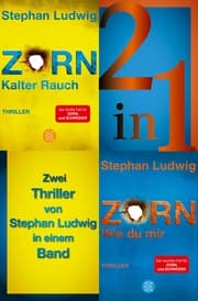 Cover von Kalter Rauch / Wie du mir - Zwei Zorn-Thriller in einem Band