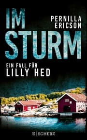 Cover von Im Sturm