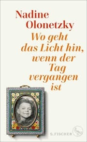 Cover von Wo geht das Licht hin, wenn der Tag vergangen ist