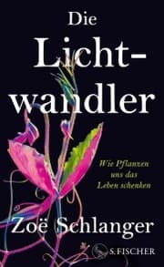 Cover von Die Lichtwandler